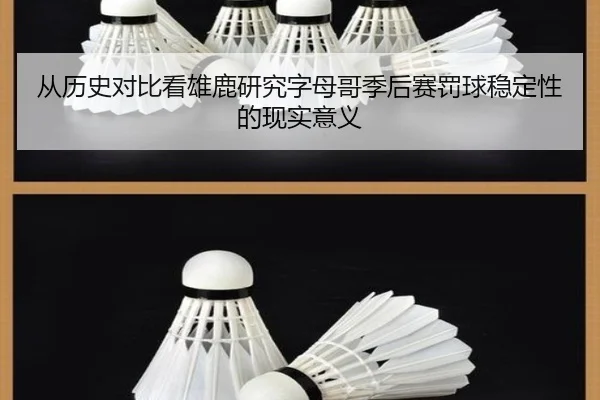 cong-li-shi-dui-bi-kan-xiong-lu-yan-jiu-zi-mu-ge-ji-hou-sai-fa-qiu-wen-ding-xing-de-xian-shi-yi-yi-2-173.jpg