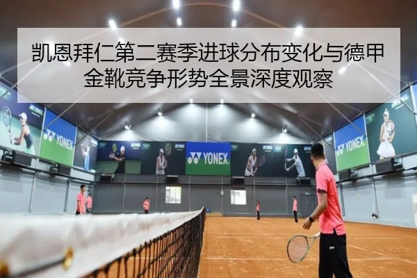 凯恩拜仁第二赛季进球分布变化与德甲金靴竞争形势全景深度观察